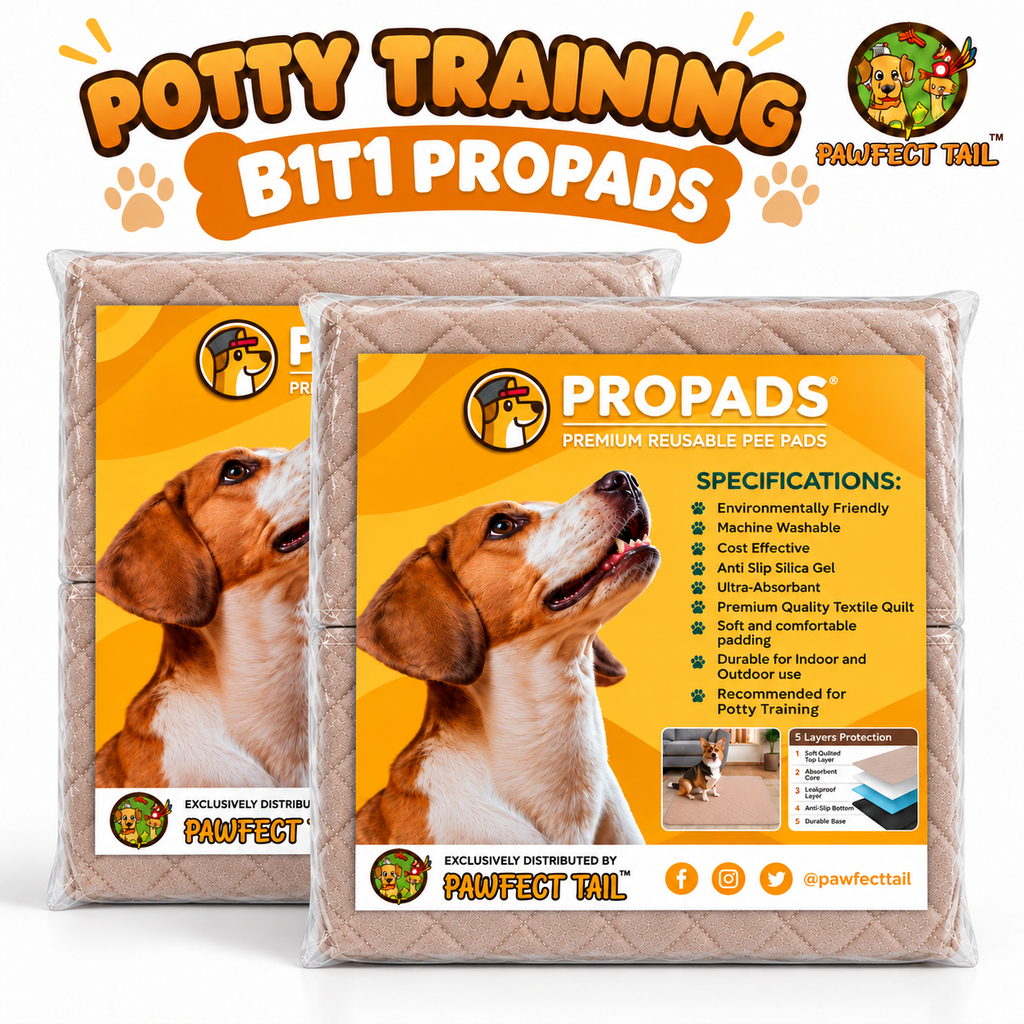 Propads Buy 1 Take 1 Bundle (2 Reusable Pee Pads)