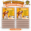 Propads Wholesale Bundle (10pcs Reusable Pee Pads)